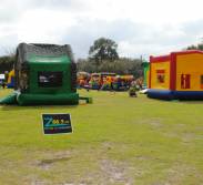 Pulse Point Community Festival