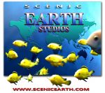 Scenic Earth Studios